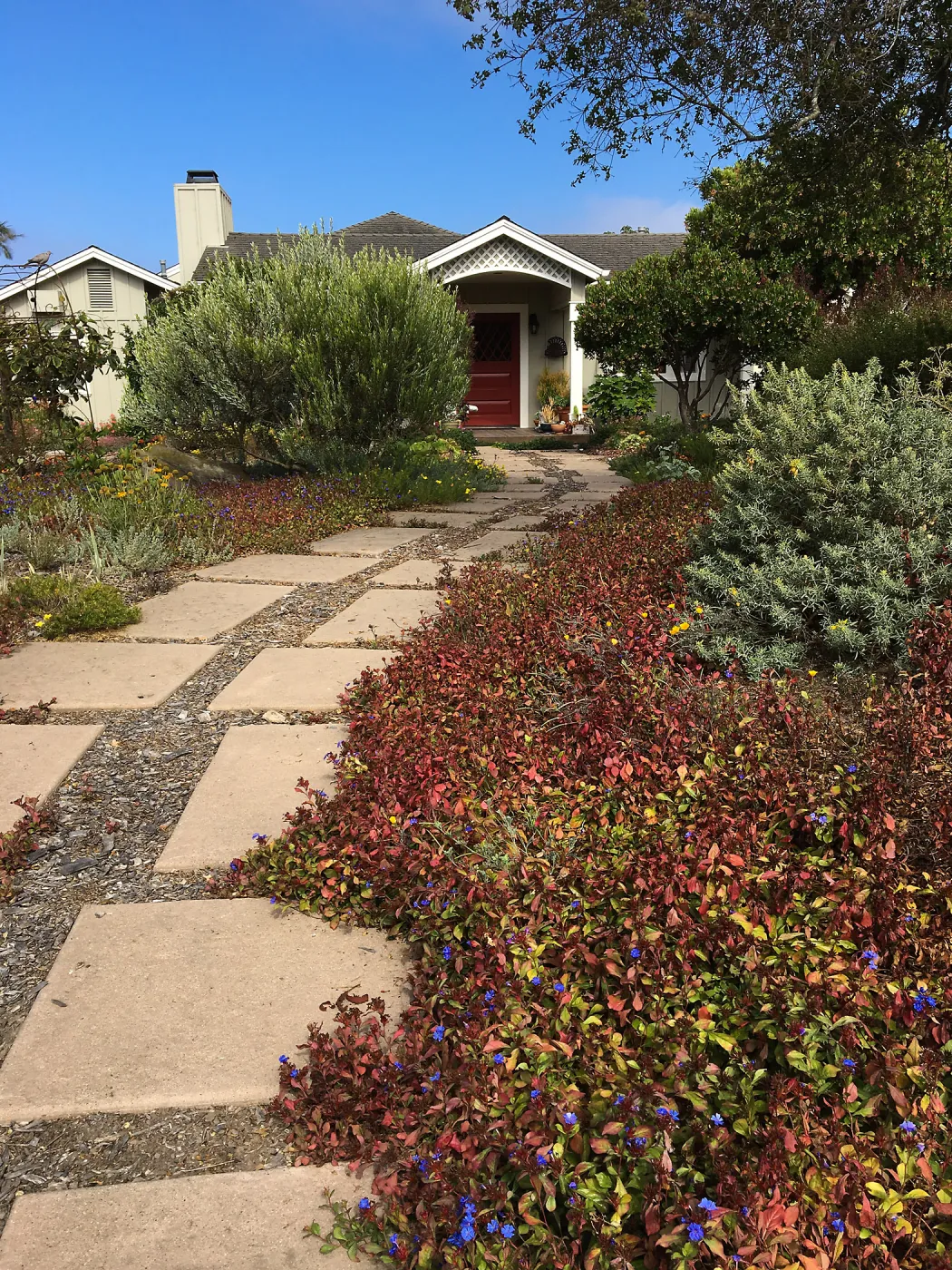 Native plant garden on Oliver Road, Santa Barbara CA