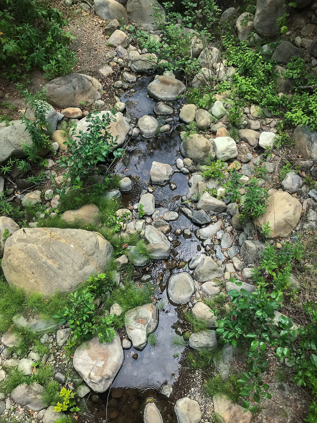 Mission Creek below the Campbell Bridge