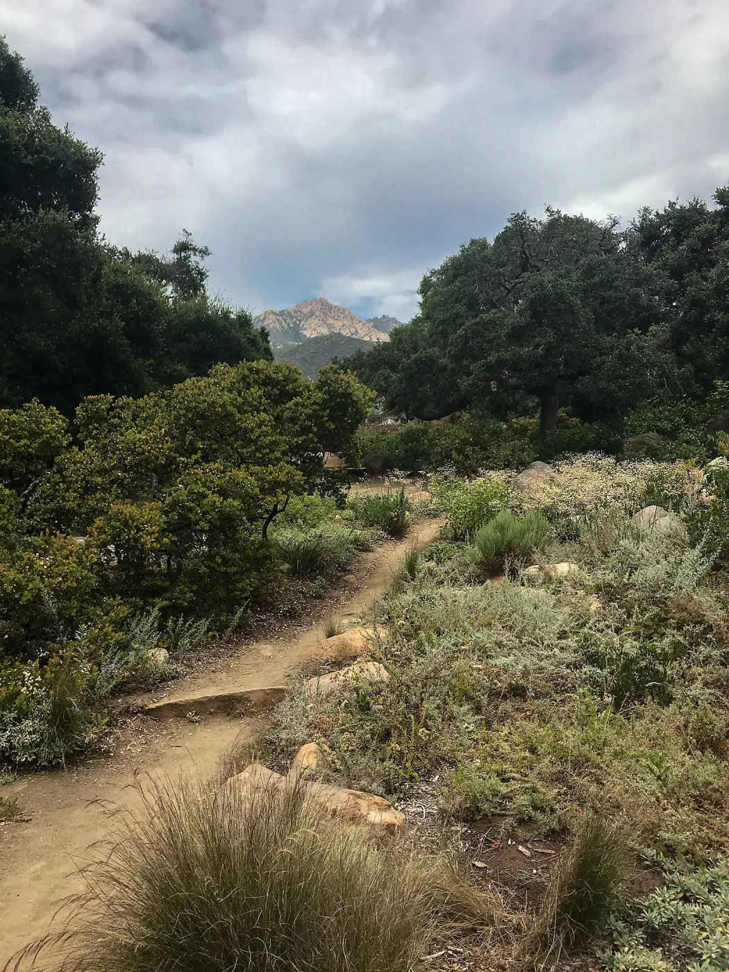Manzanita Section