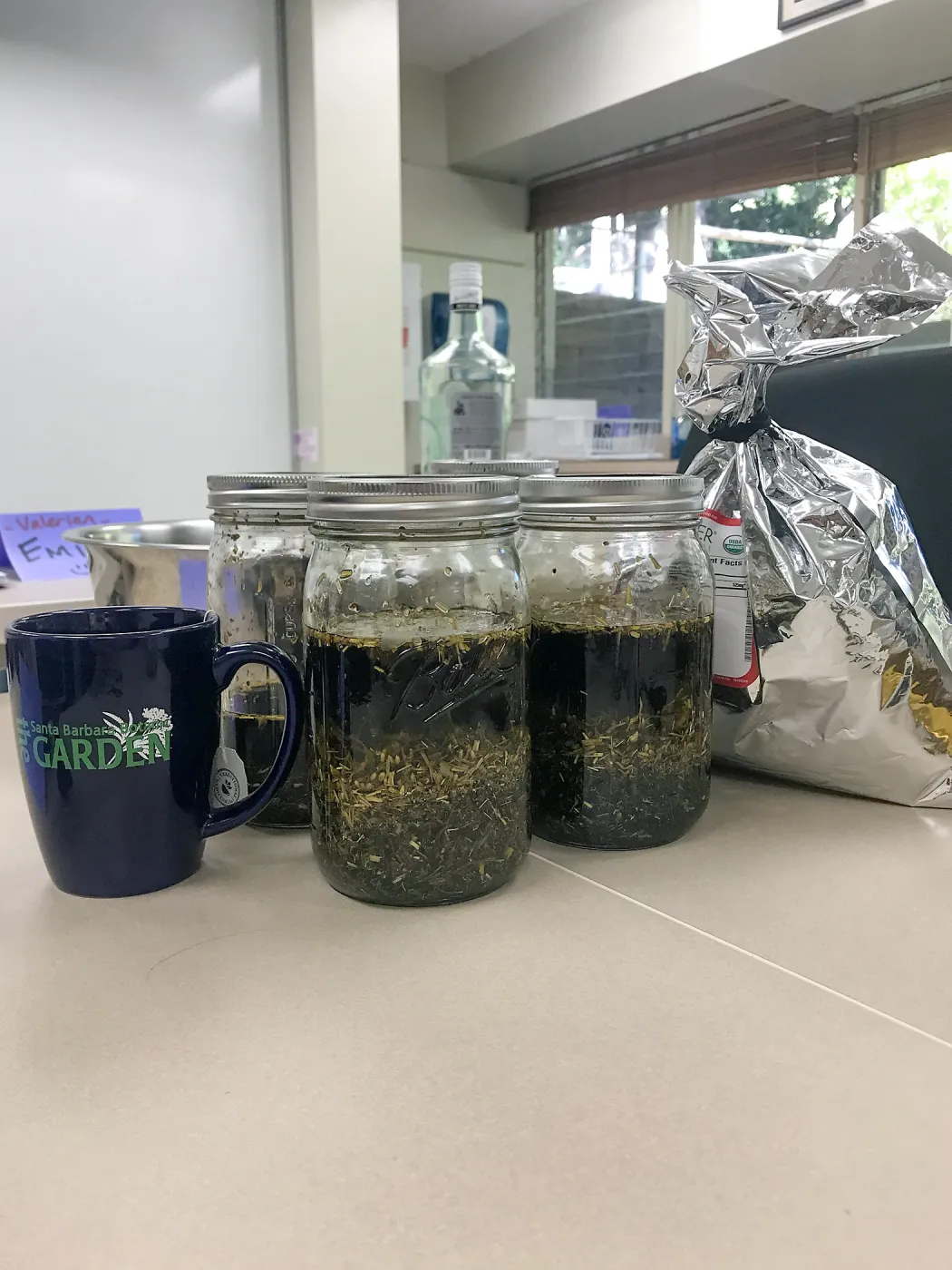 Herbal First Aid Kits For Families Workshop