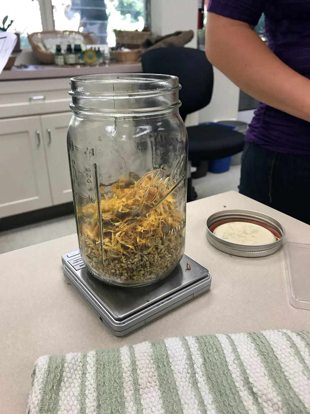 Herbal First Aid Kits For Families Workshop