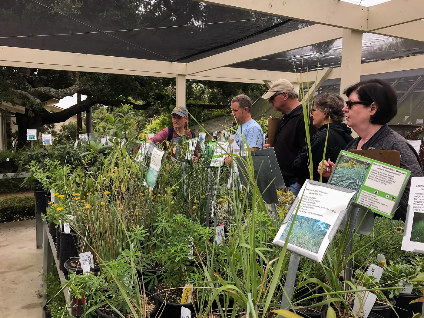 Building Habitat in Your Home Garden class with Stephanie Ranes
