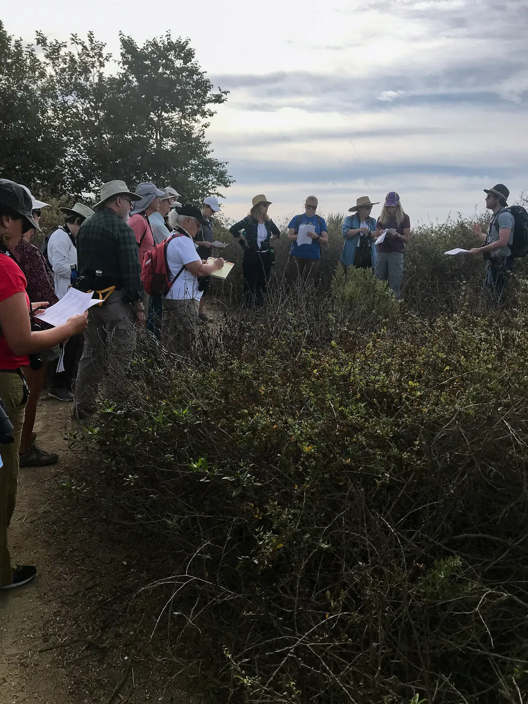 Carpinteria Bluffs and Marsh Field Trip