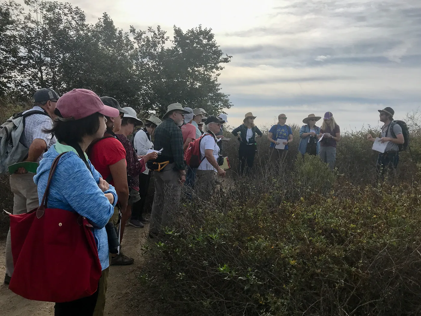 Carpinteria Bluffs and Marsh Field Trip