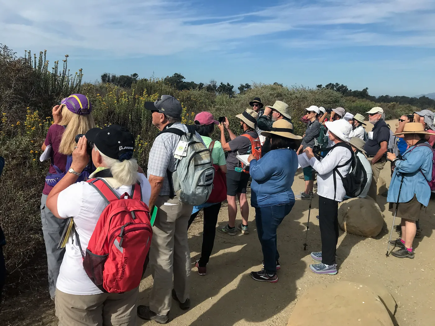 Carpinteria Bluffs and Marsh Field Trip