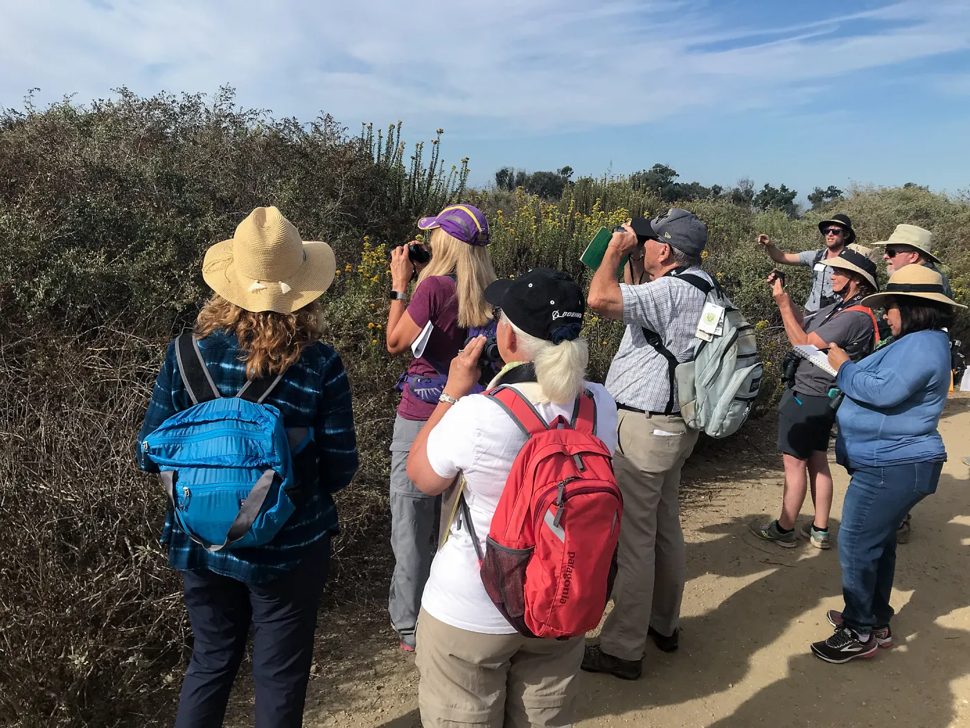 Carpinteria Bluffs and Marsh Field Trip