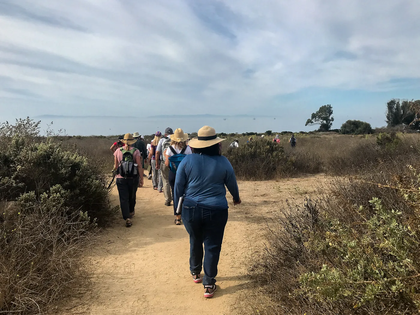 Carpinteria Bluffs and Marsh Field Trip