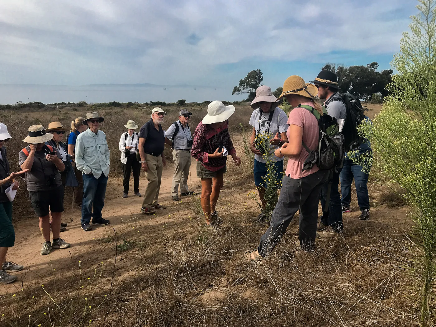 Carpinteria Bluffs and Marsh Field Trip