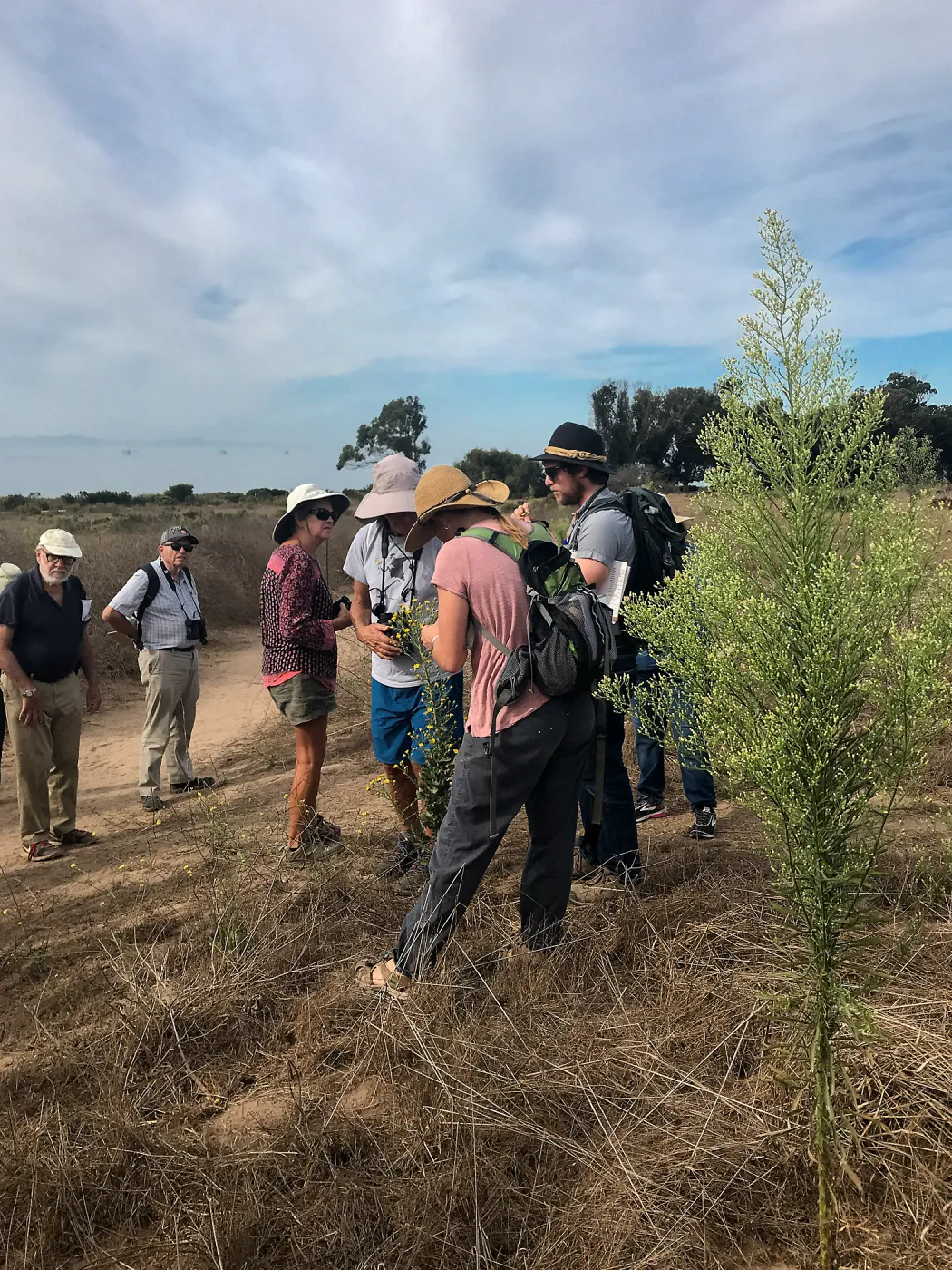Carpinteria Bluffs and Marsh Field Trip