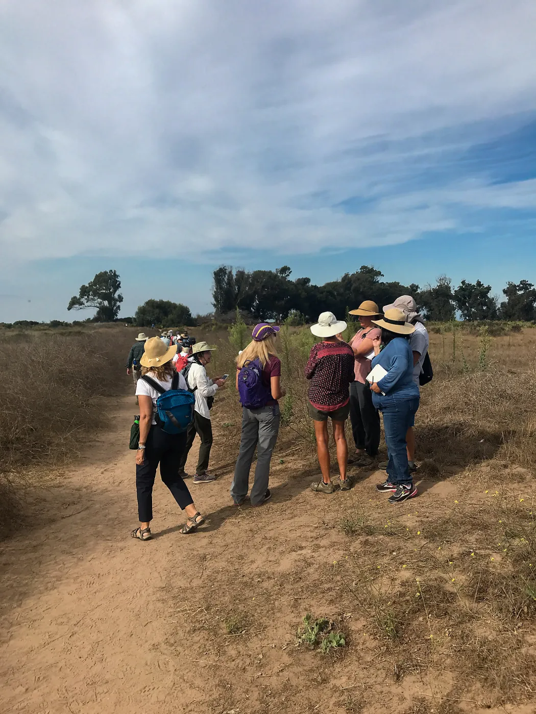 Carpinteria Bluffs and Marsh Field Trip