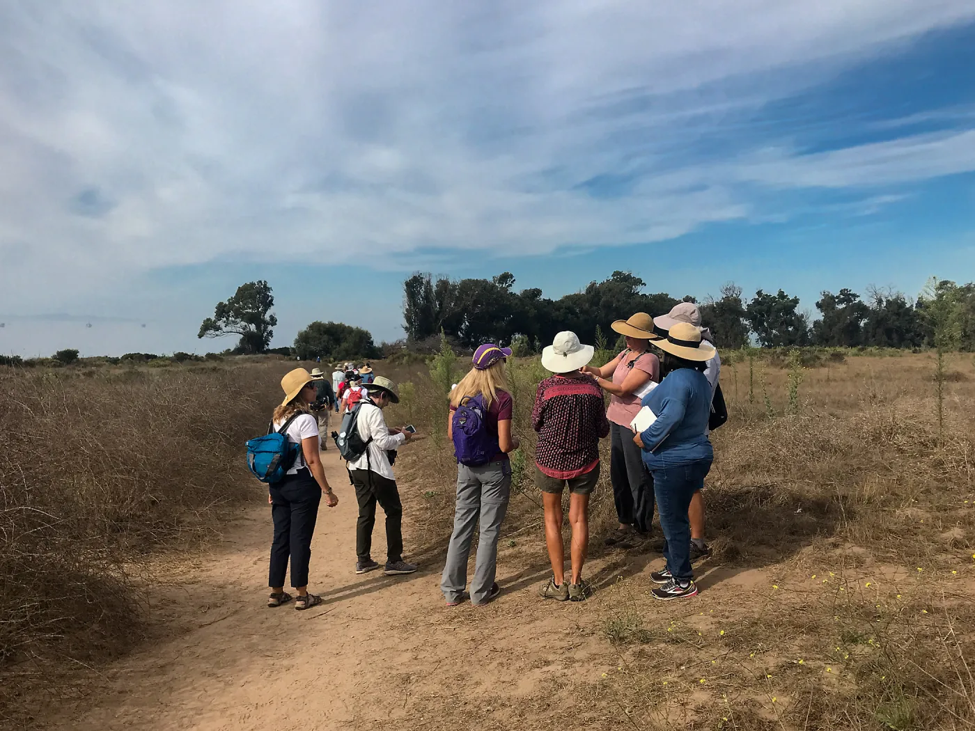 Carpinteria Bluffs and Marsh Field Trip