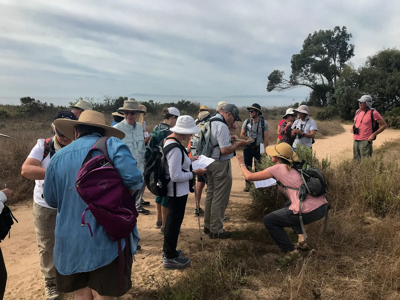 Carpinteria Bluffs and Marsh Field Trip