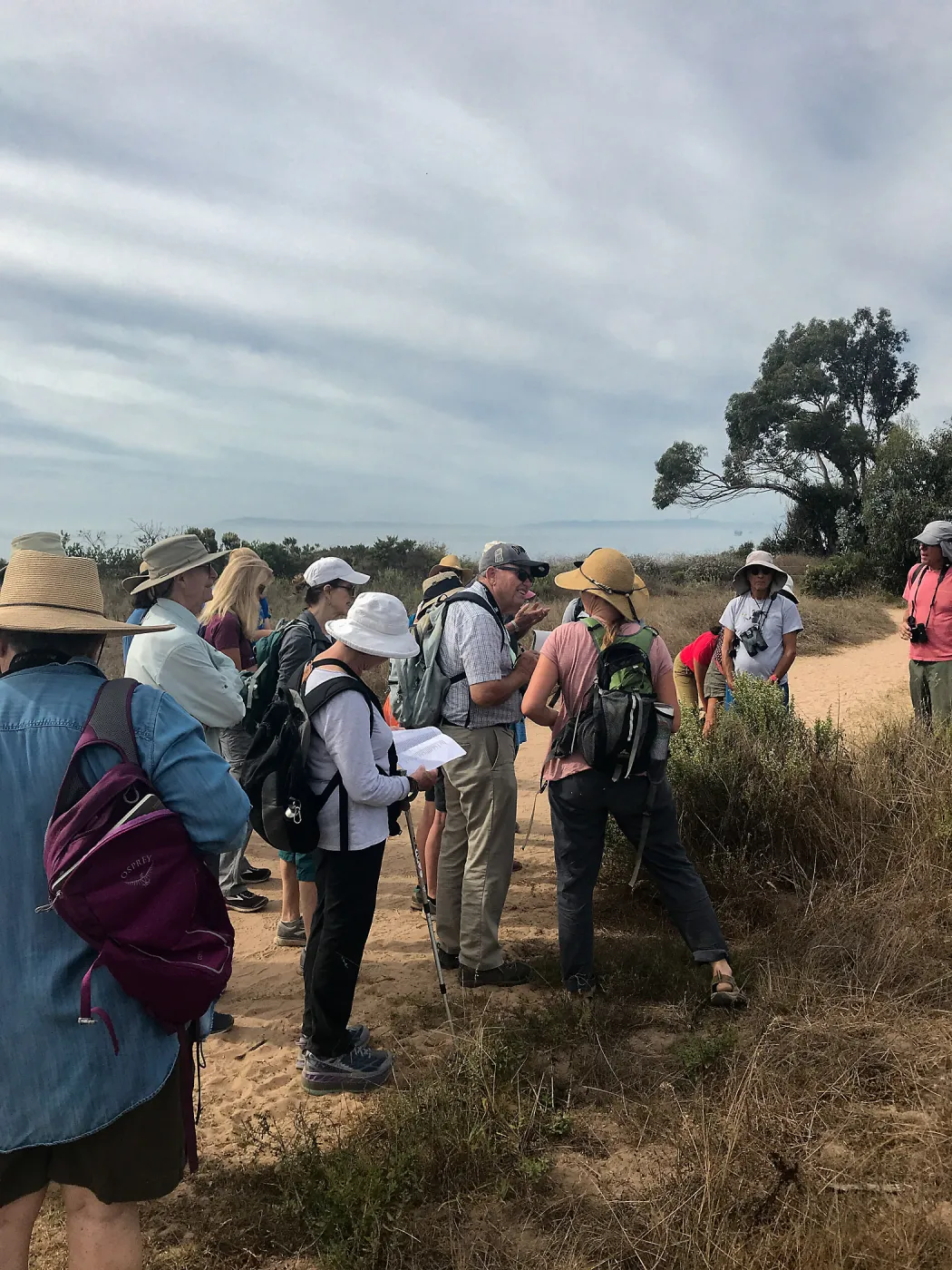 Carpinteria Bluffs and Marsh Field Trip