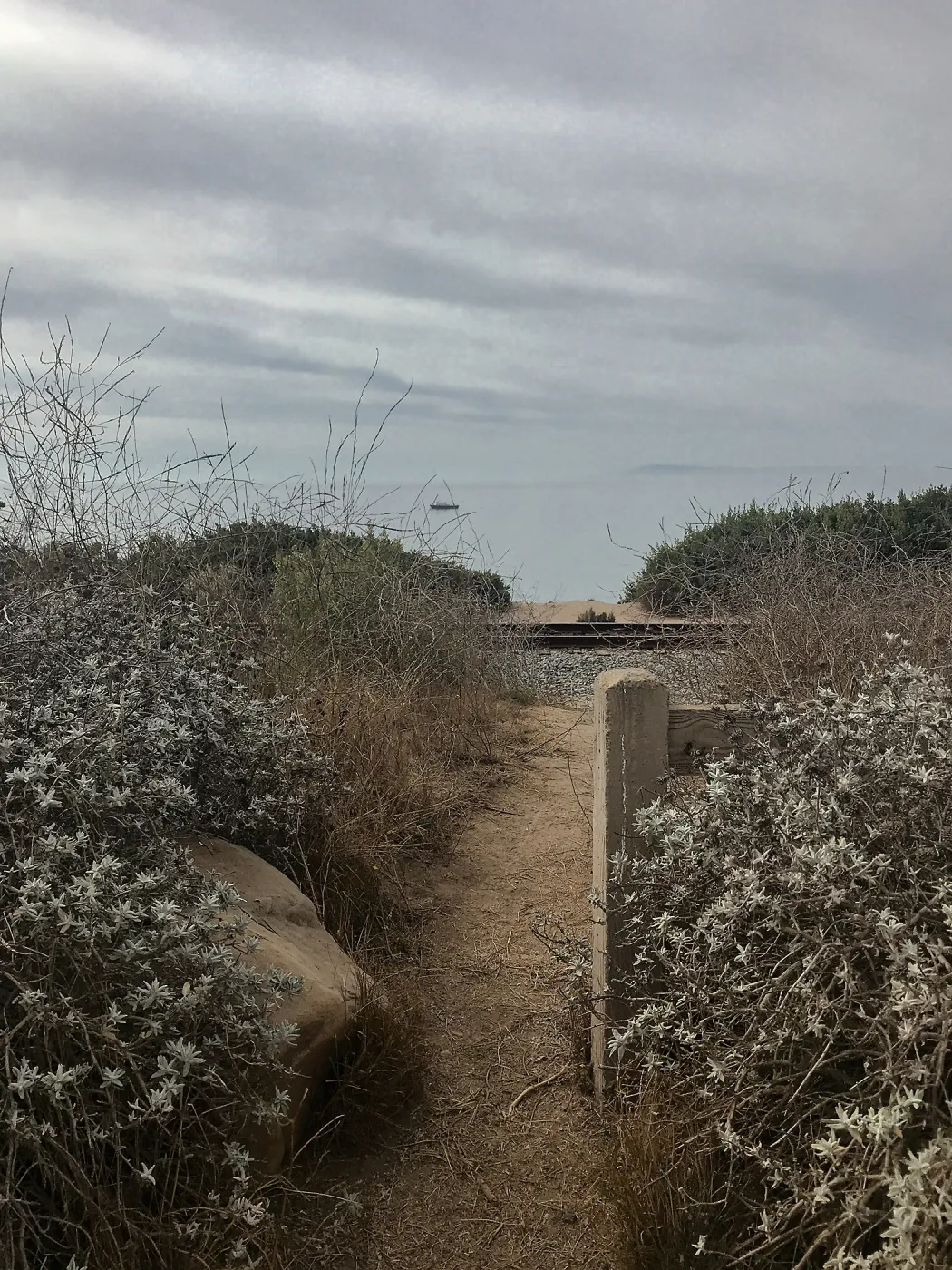 Carpinteria Bluffs and Marsh Field Trip