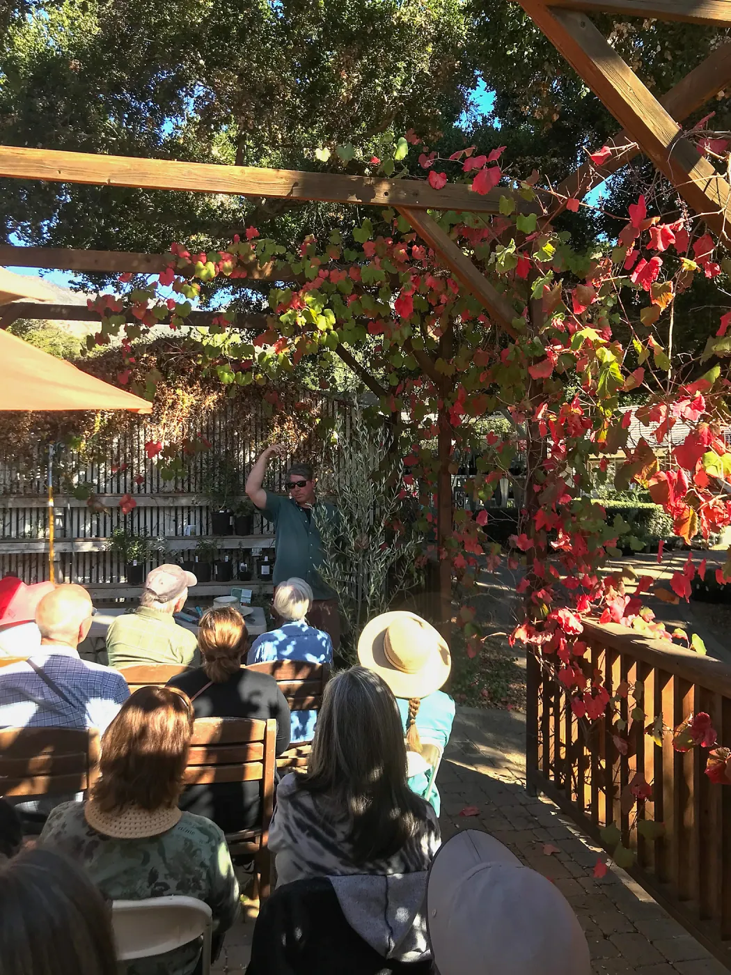Pruning Natives Demystified with Bruce Reed