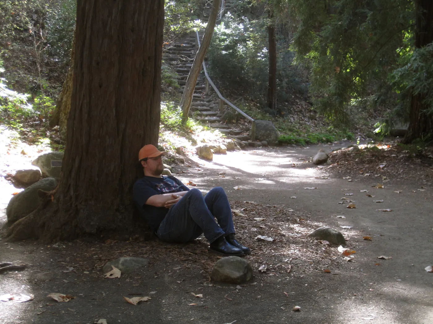 Forest Bathing Class