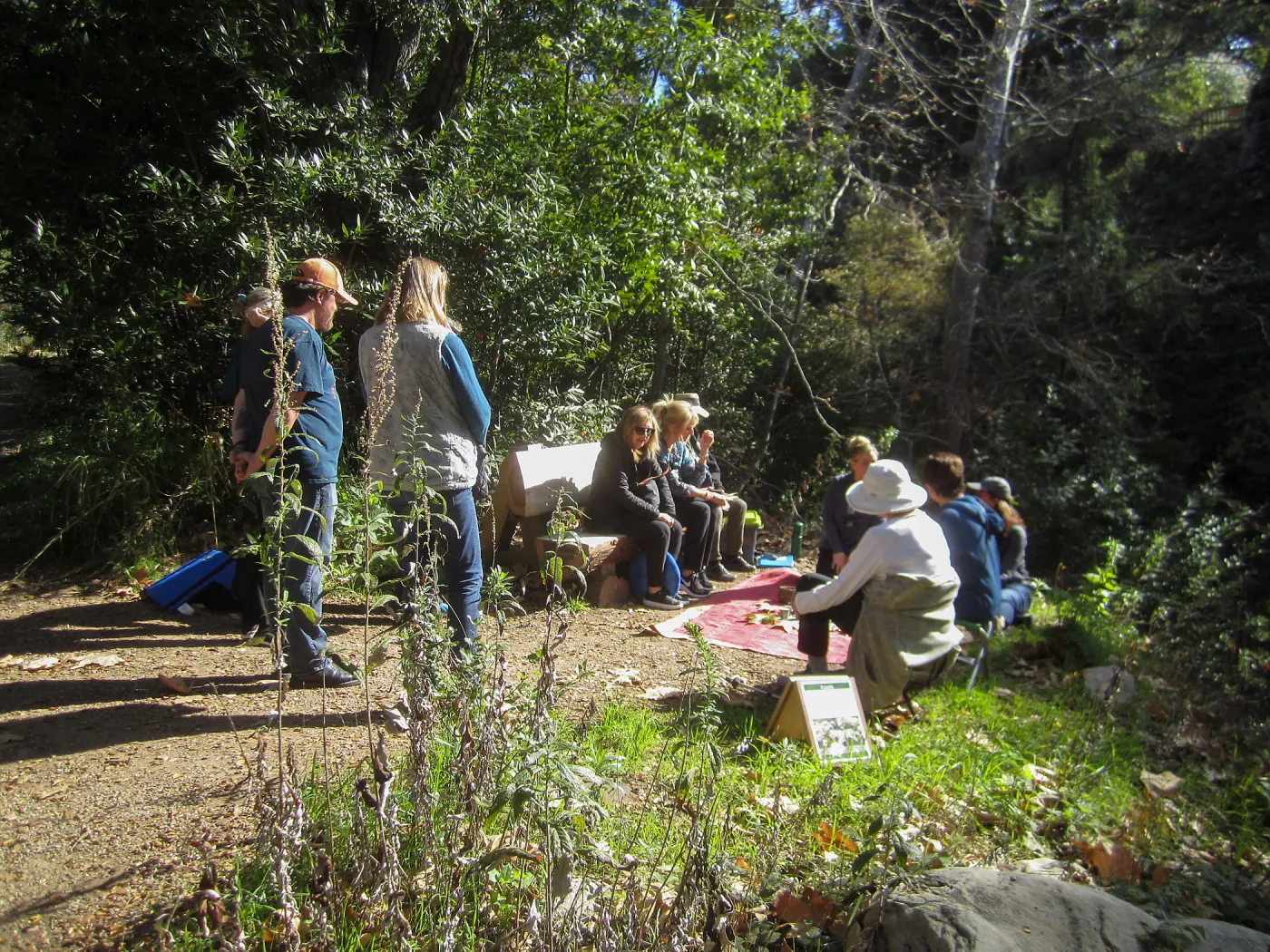 Forest Bathing Class