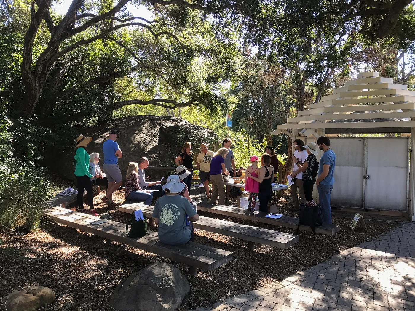 Herb Walk: Infused Oils & Salves
