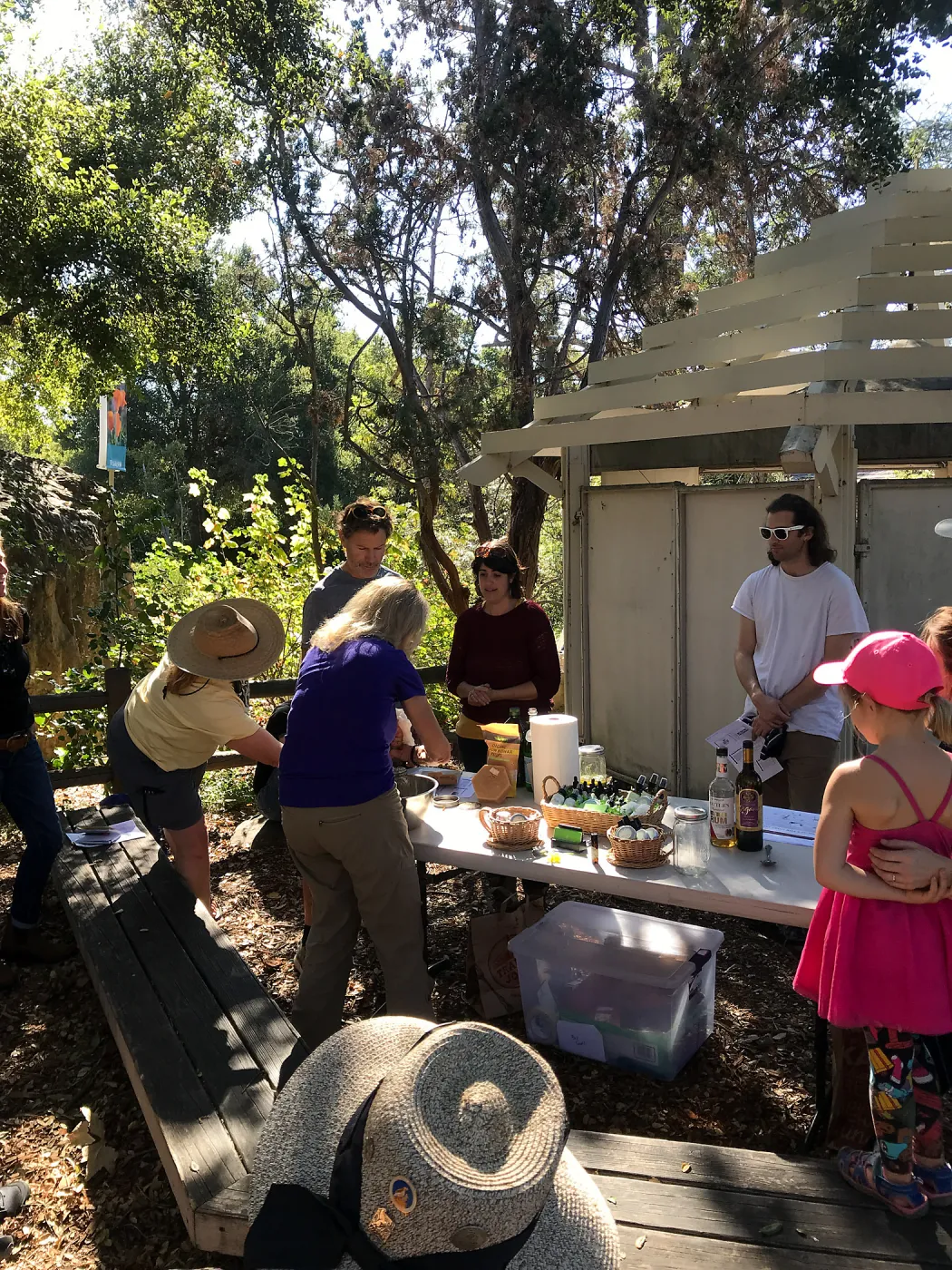 Herb Walk: Infused Oils & Salves