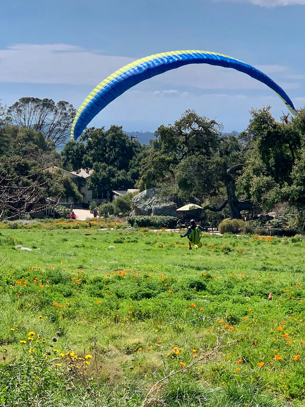 Hang glider landing in the Meadow