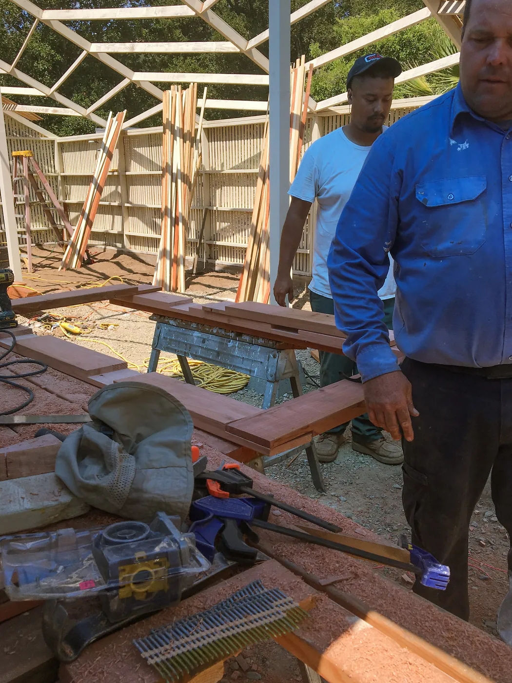 Lath house reconstruction