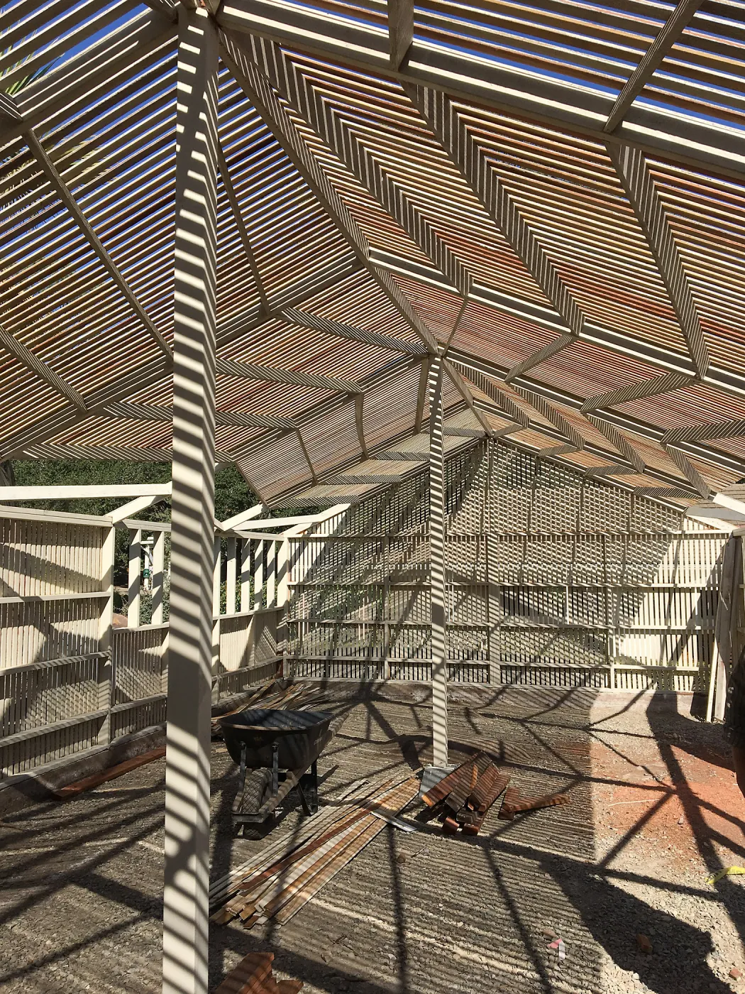 Lath house reconstruction completed, looking northeast