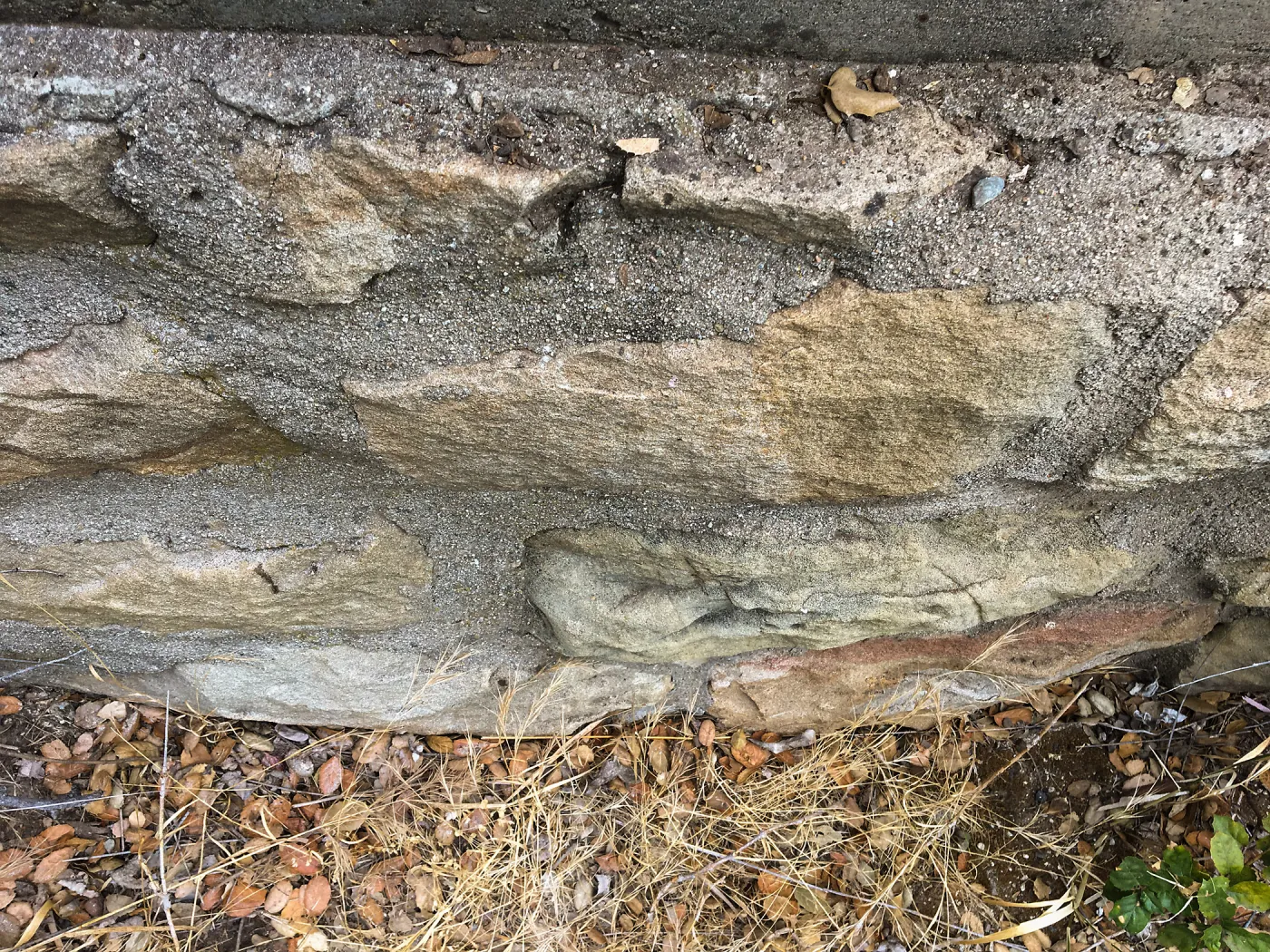 Foundation on west side of Garden Growers lath house