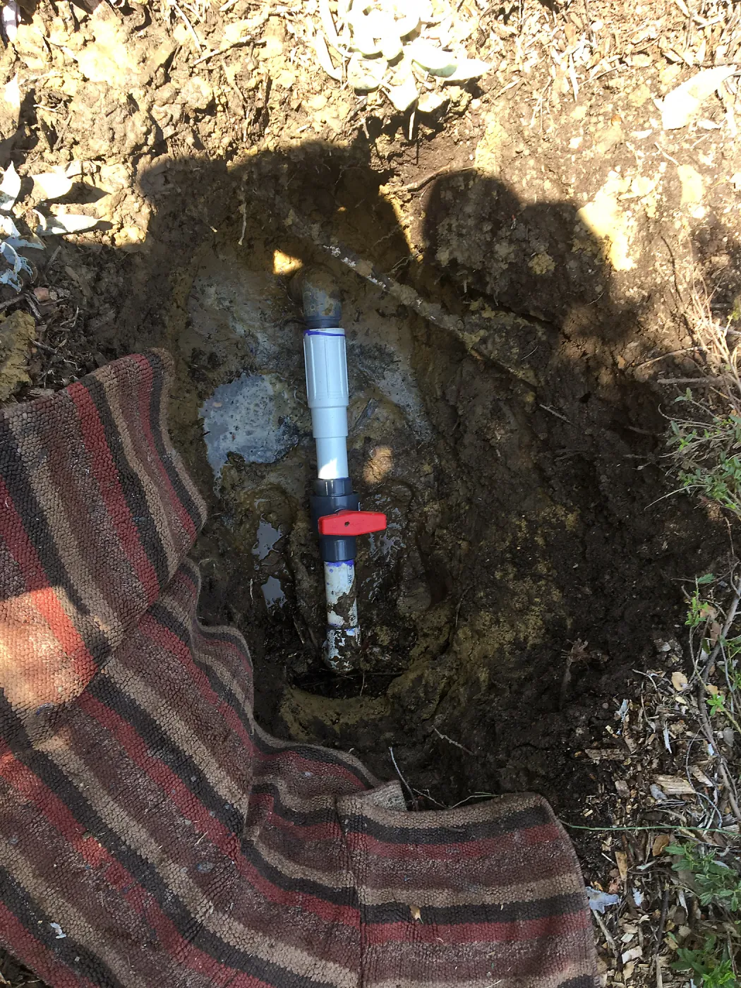 Waterleak at south end of Ground Cover display