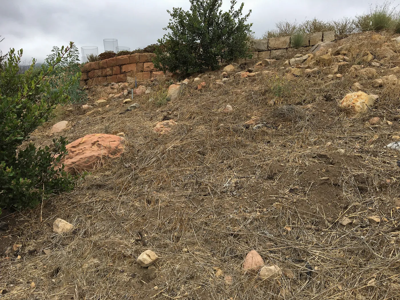 New Trail, Island Section below PCC