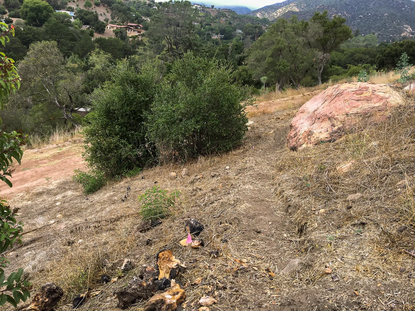 New Trail, Island Section below PCC