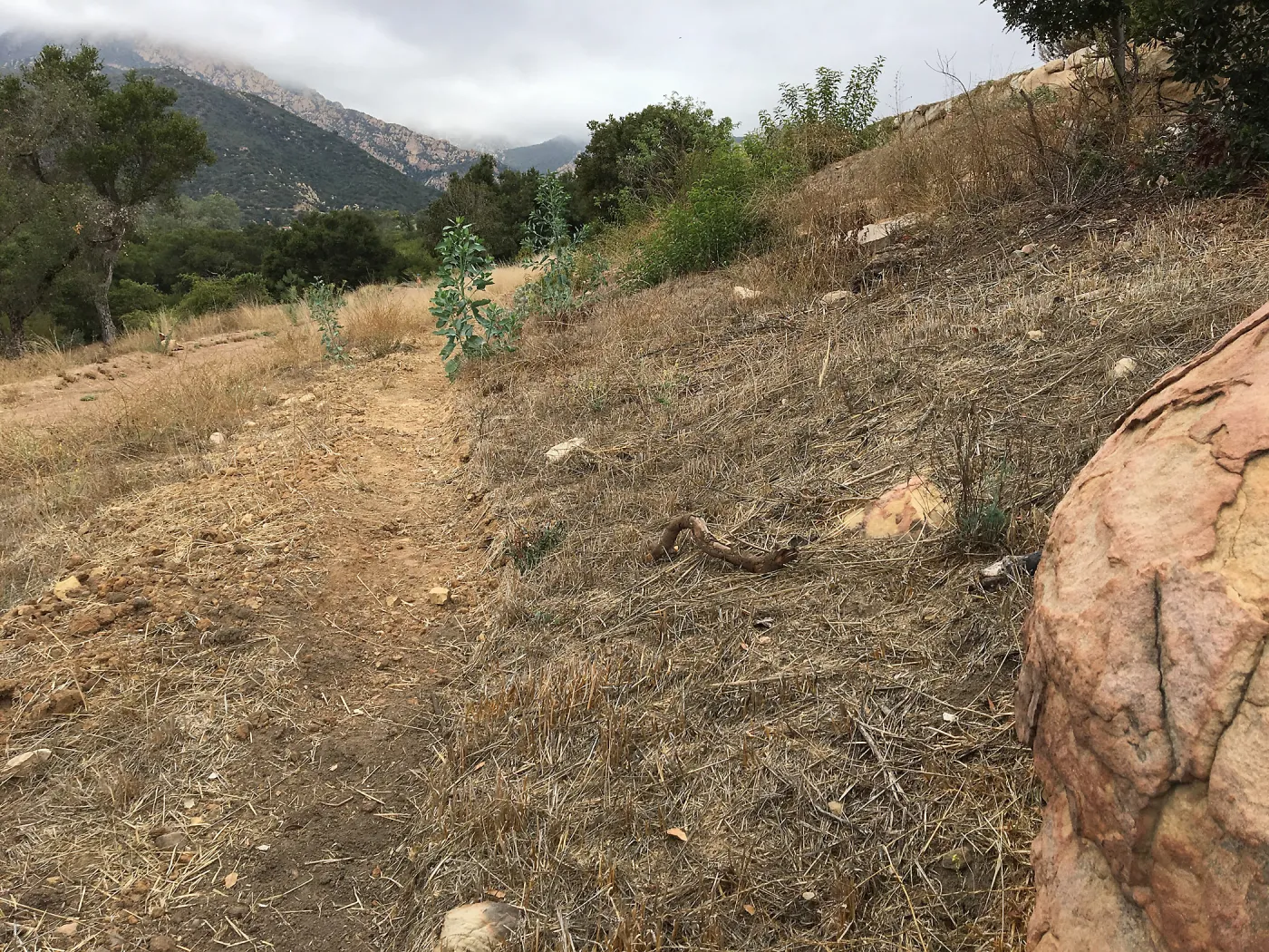 New Trail, Island Section below PCC