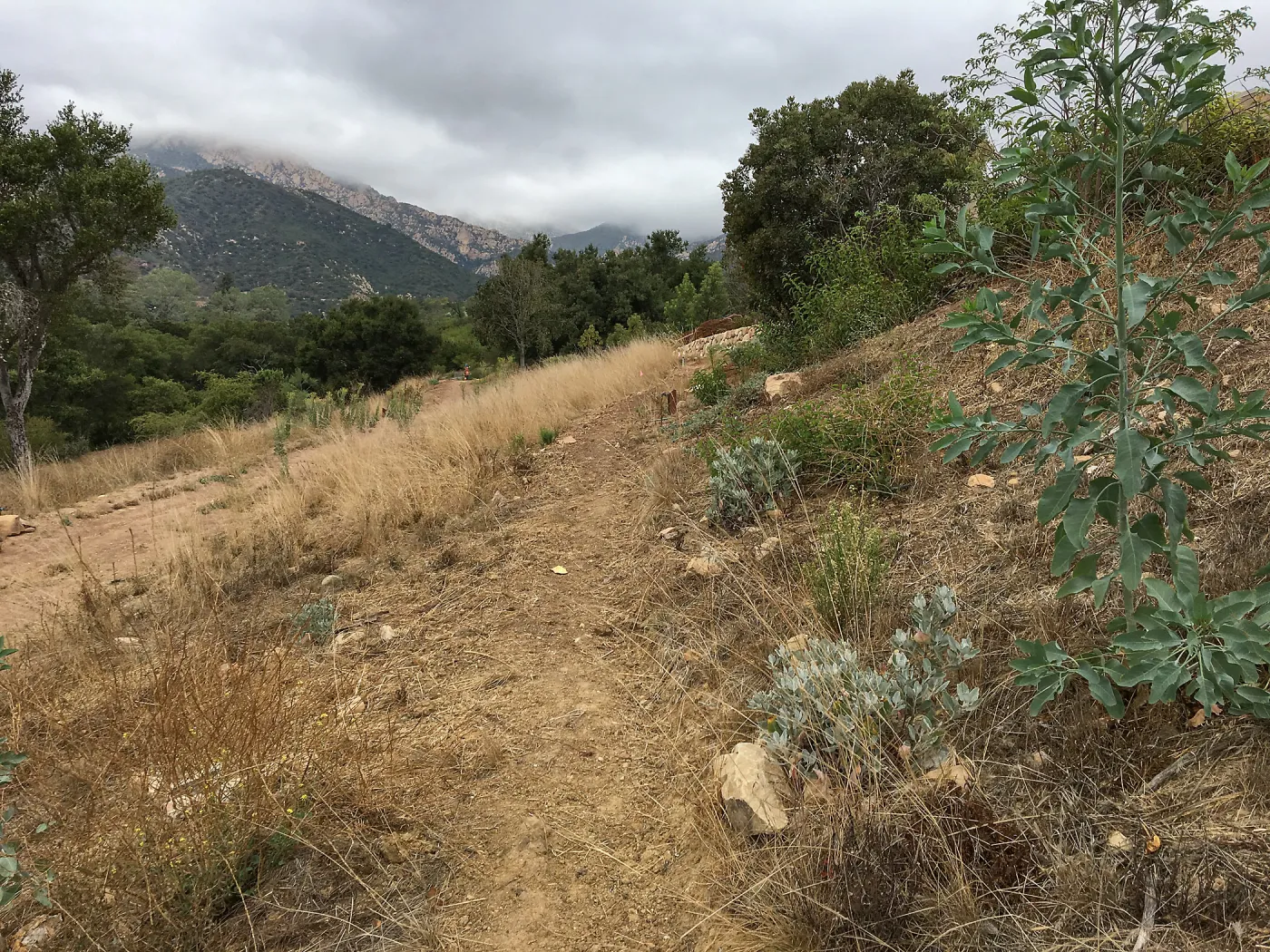 New Trail, Island Section below PCC