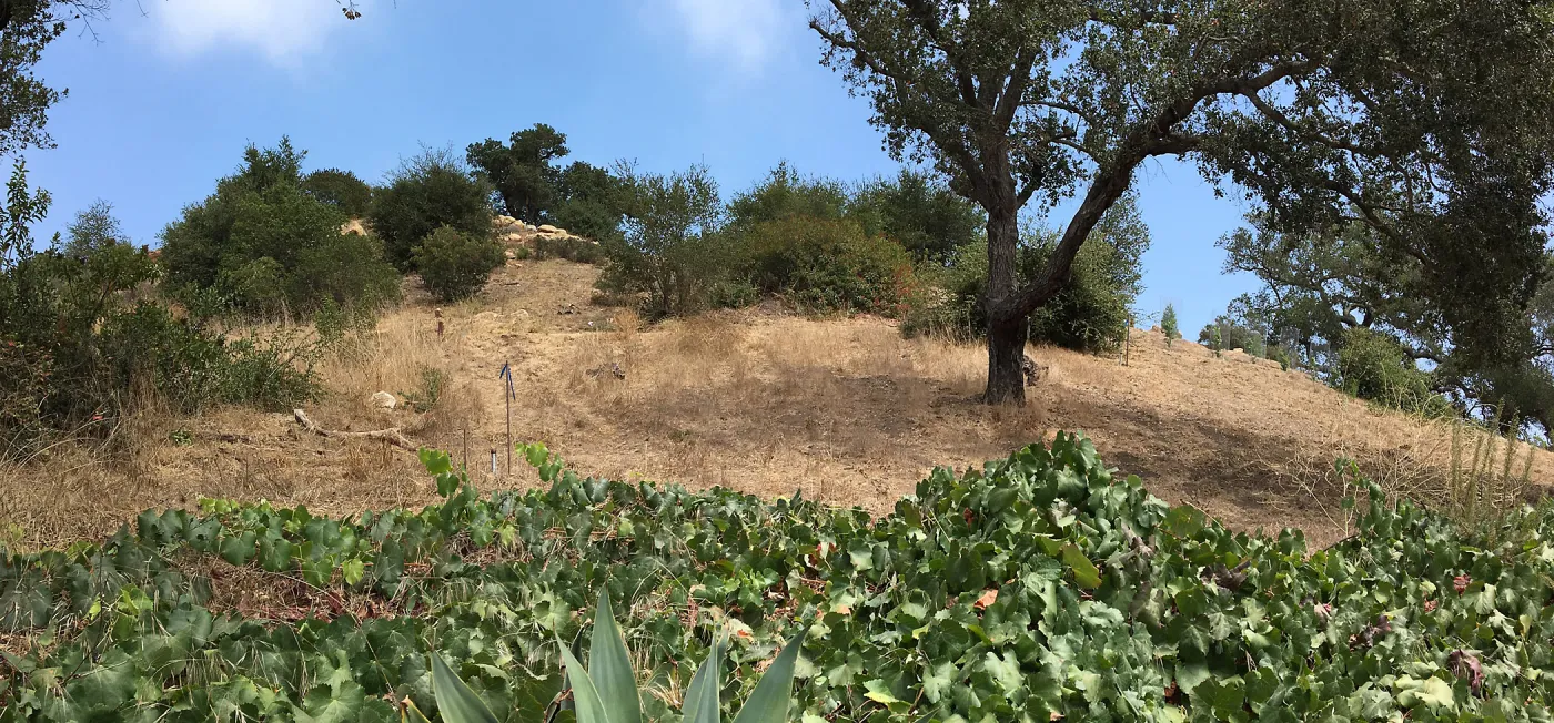 PCC south slope