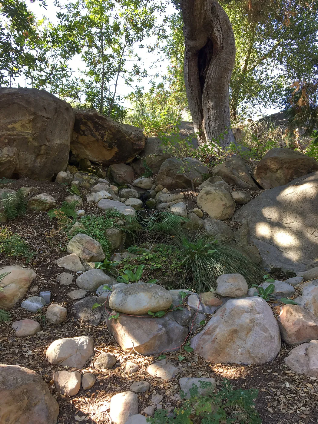 Tea House garden