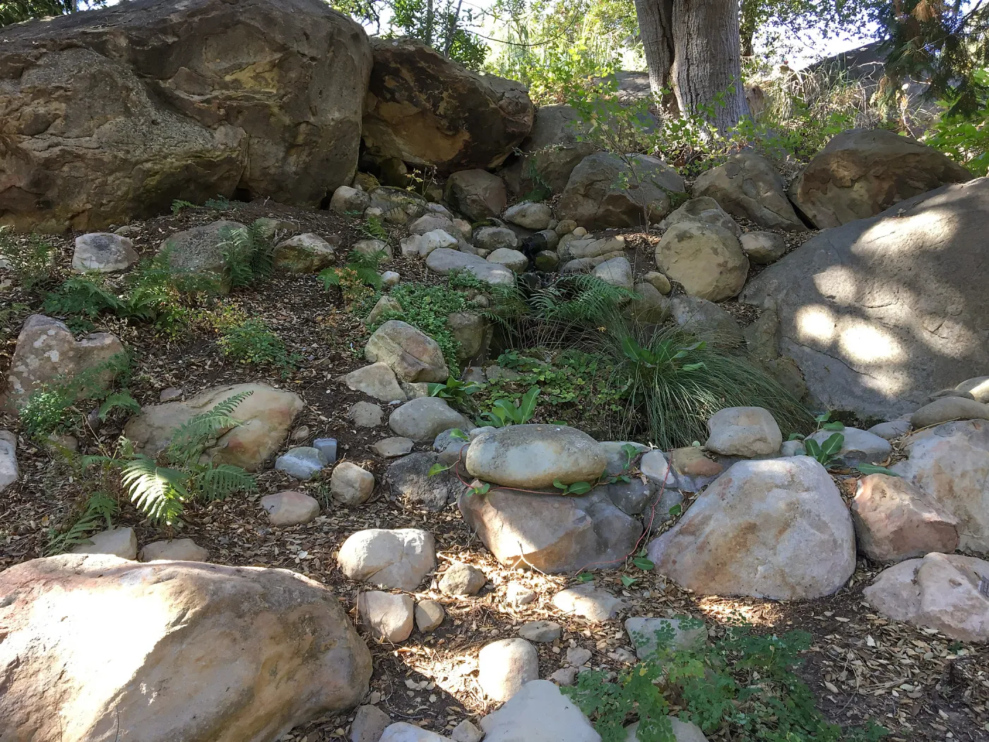 Tea House garden