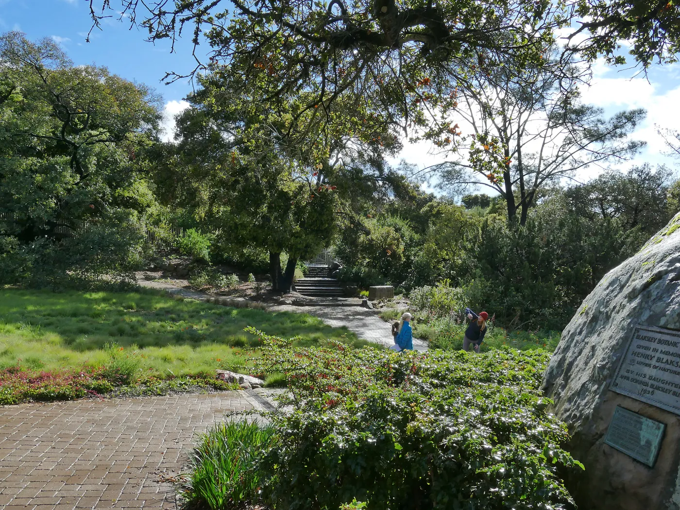 Visitor photographing children at the bottom of the Meadow