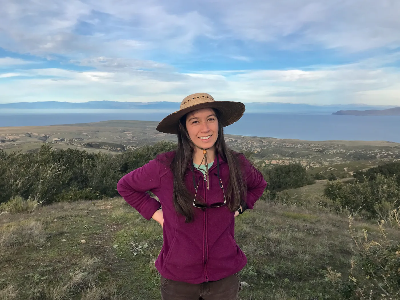 Caitlin Lam, View of Mainland Santa Barbara and Santa Cruz, Island Oak Forest, Black Mountain