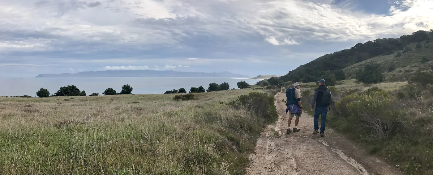 Torrey Pines, Santa Cruz Island, Hike to Torrey Pines