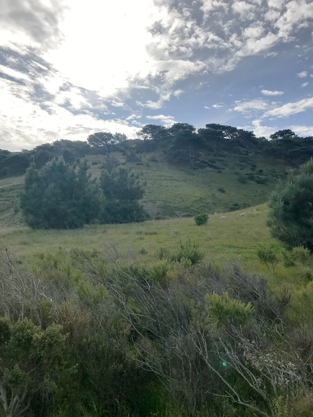 Torrey Pines, Hike to Torrey Pines