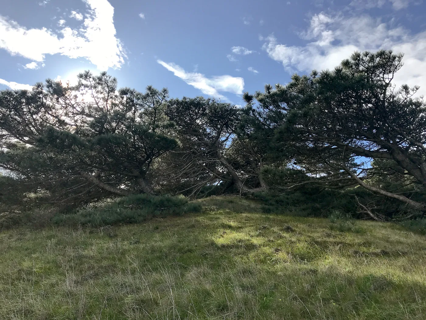 Torrey Pines, Hike to Torrey Pines