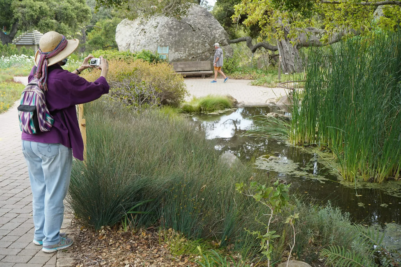Visitor at Bessie Bullard Pond, First day of limited reopening to members, after COVID-19 pandemic closure