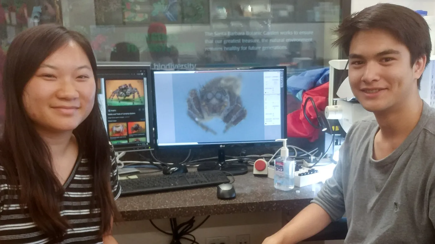 UCSB interns Esther Duh and Nolan Weis are imaging a Jumping Spider