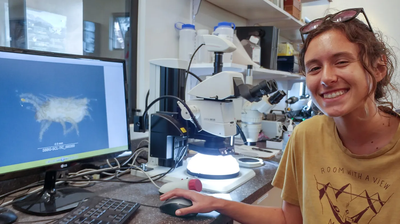Sara Kovalsky is an intern from UCSB, here imaging a mite that hasn't yet been identified to family.