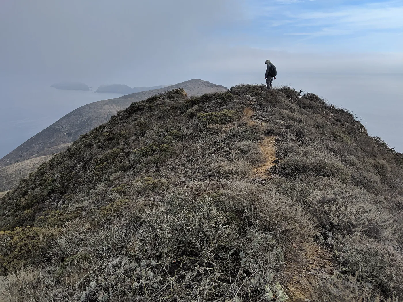Garden and California Institute of Environmental Studies botanists surveying rugged West Anacapa Island for Malva assurgentiflora subsp. assurgentiflora