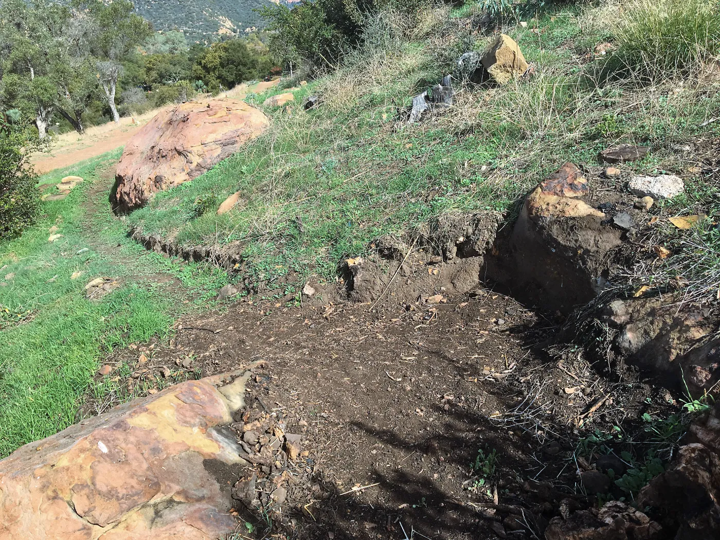 Building new trail on west slope of PCC ridge for new Island Section