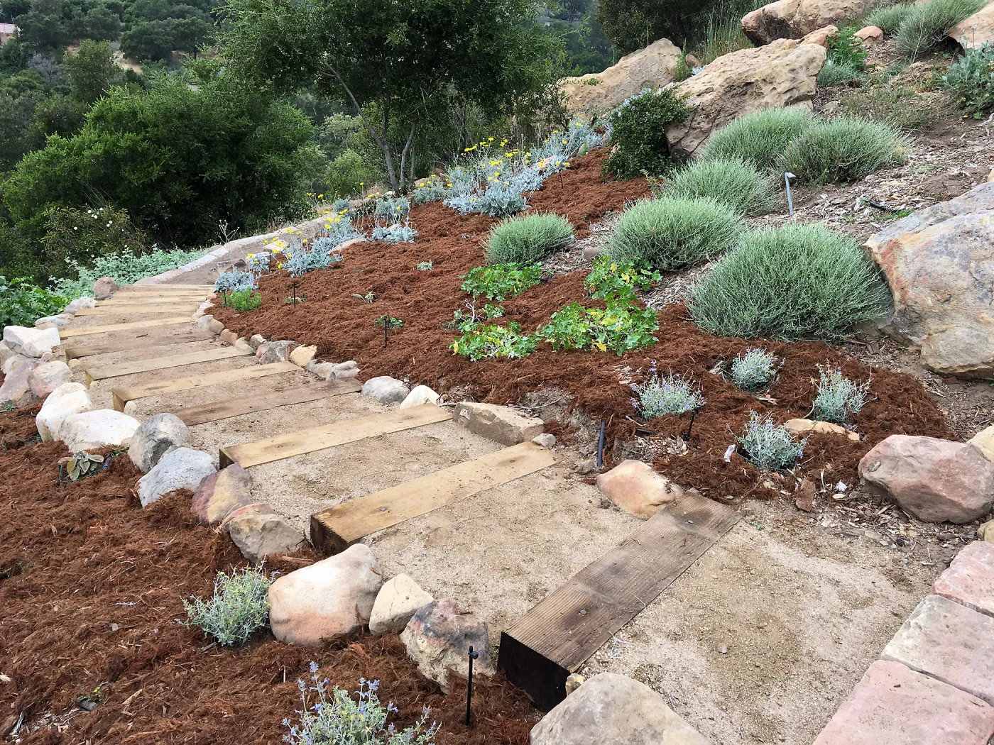 Completed trail in new Island Section