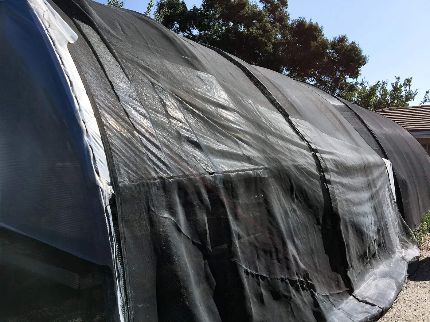 Horticulture hoop house before renovation
