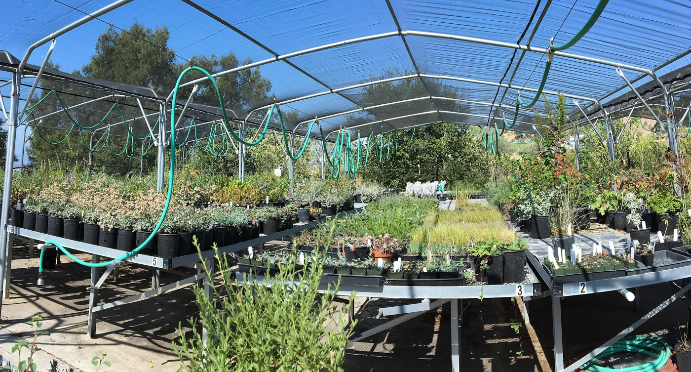 Horticulture nursery