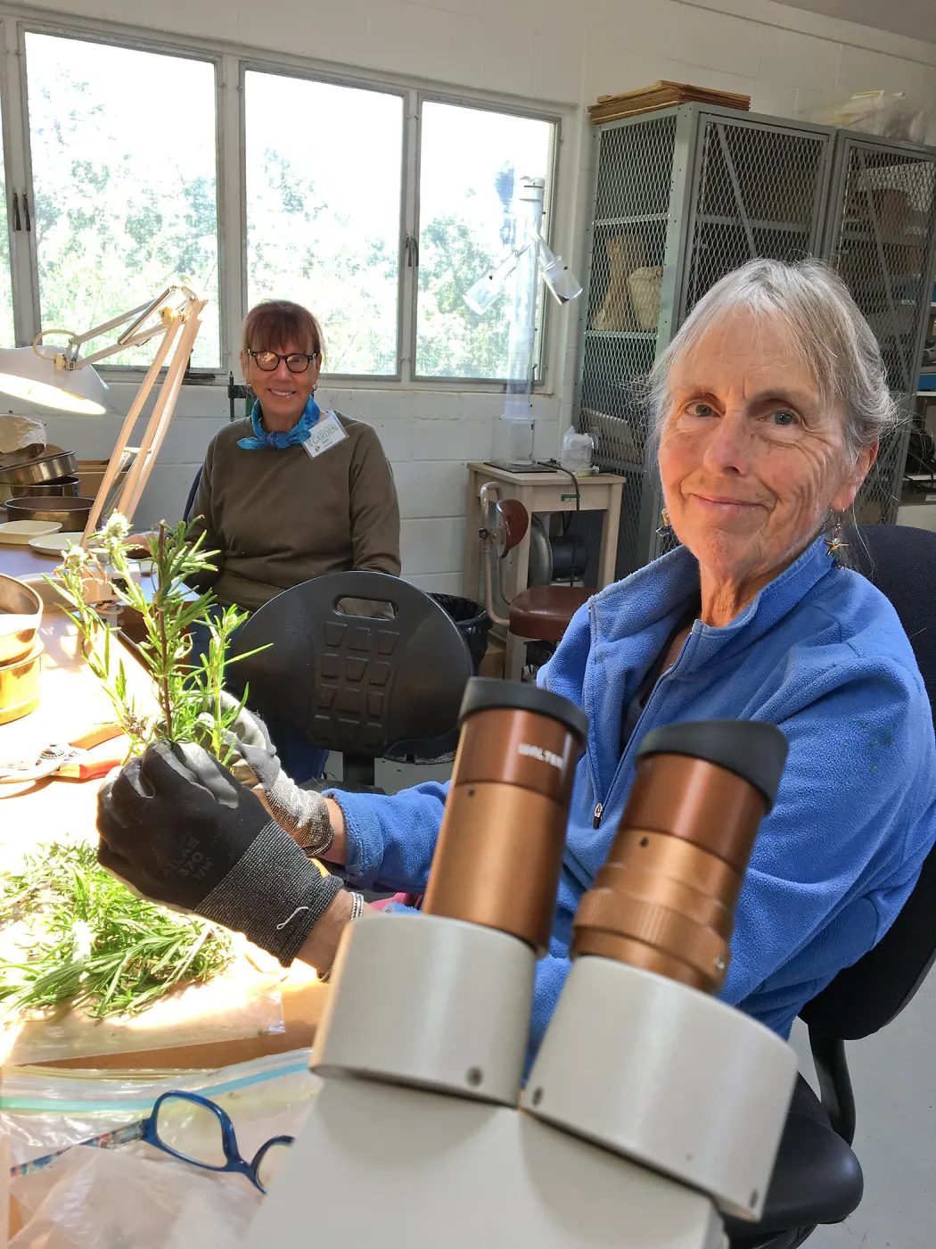 Bonnie Whitney and Karin Hodin working at the Hort Unit