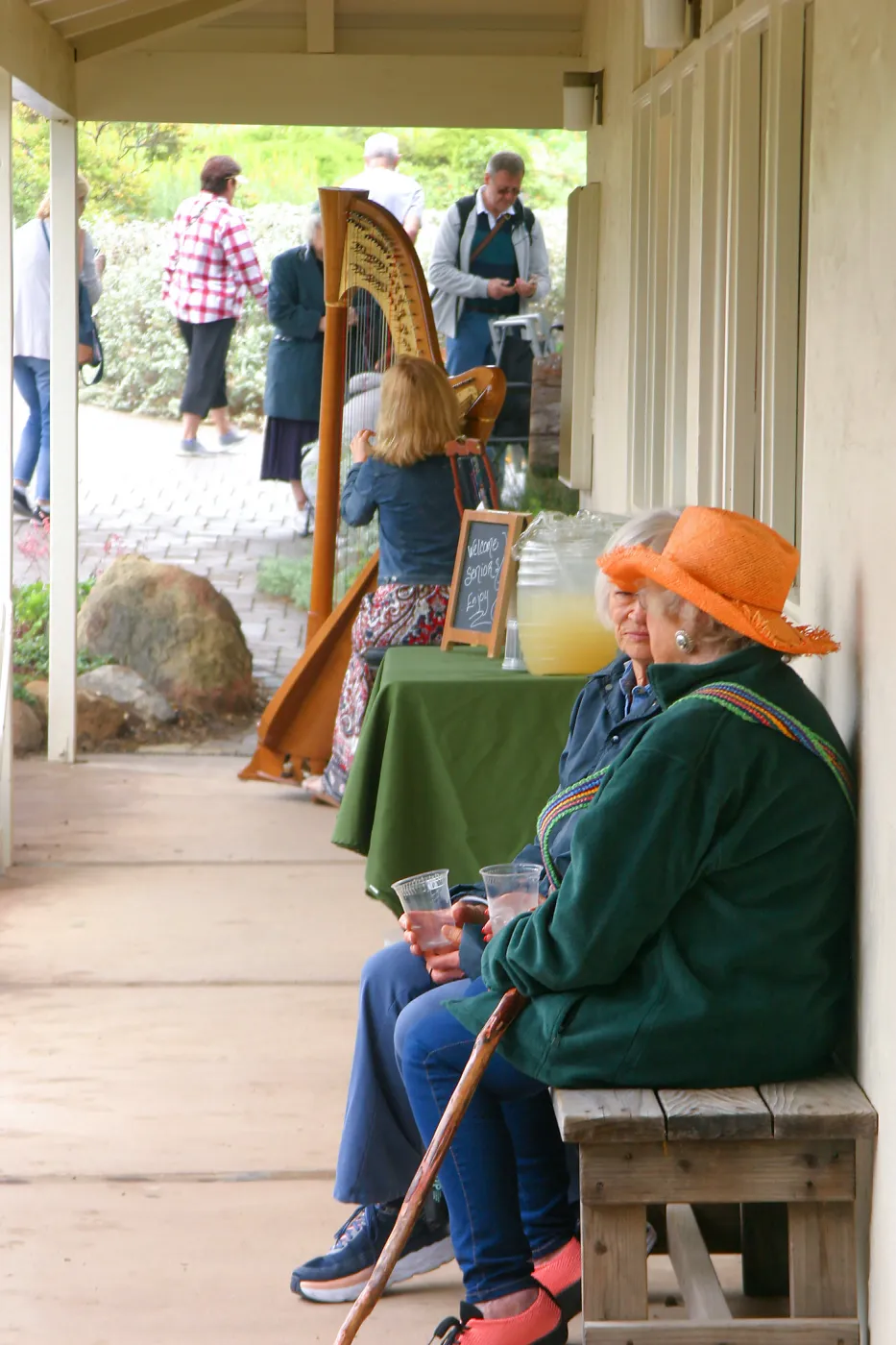 Seniors Free Day